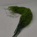 Cindeer 15 Pcs Spanish Moss Faux Hanging Moss Garland Fake Greenery Artificial Decor for Crafts(33 Inch,Green)