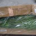 DILATATA 12PCS Artificial Palm Leaves Stems Tropical Faux Palm Foliage Greenery Picks Fake Palm Plants for Vase Wedding Bouquets Home Garden Indoor Outdoor DIY Decor