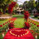 Coume 7.2 ft Large Metal Arch Stand with Will You Marry Me Neon Light Sign