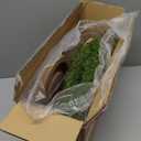 Cat Scratching Post 35'' Tall Cat Scratcher Tree Tower Scratching Posts for Indoor Cats with Cat Toy Mouse Hole and Interactive Wooden Ball for Kittens Adults Cats