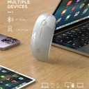 RAPIQUE R306 Wireless Mouse, Bluetooth 5.1 & 2.4GHz Dual Mode Silent Mouse, Silver Gloss Top with White Matte Base, Slim Portable Mouse for Laptop, MacBook,Tablet, Chromebook (Silvery)