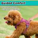 BARKBAY Dog Harness No Pull Mesh for Small Dogs - Adjustable, Reflective, Comfortable, No Choke, Heavy-Duty - Perfect for Outdoor Training, Walking, and Hiking - Strong & Durable - XS & Pink Mesh