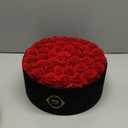 Gifts for Women  NATROSES 60 Preserved Roses in Luxury Black Velvet Box, Preserved Flowers for Delivery Gift for Her, Elegant Rose for Birthday, Mothers Day, Christmas (Red)