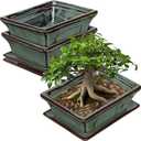 Ceramic Bonsai Pots with Drainage Tray Set of 2, 6 Inch Green Glazed Bonsai Planters for Indoor/Outdoor Use, Shallow Rectangular Bonzai Tree Pots for Succulent, Orchids, Cacti, Home, Patio, Garden (6.2"x4.5"x1.9")