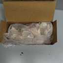 Super Z Outlet Sea Shells Mixed Beach Seashells - Various Sizes up to 2" Shells -Bag of Approx. 50 Seashells