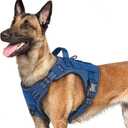 rabbitgoo Dog Harness for Large Dogs No Pull, Tactical Service Pet Vest with Molle and Control Handle, Adjustable and Reflective Military Harness for Easy Walking and Training, Blue, L