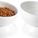 Cat Water Bowl, 16 OZ Ceramic Elevated Cat Bowls, 15 Tilted and Raised Pet Food Dish, Anti Vomiting Protect Pets' Spines and Whisker Fatigue (2 Pack, White)