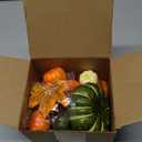 HAKACC 14 PCS Artificial Mixed Pumpkins for Decorating, Fake Pumpkins with 30PCS Fake Maple Leaves Thanksgiving Fall Harvest Decorations for Home, Fall Table Decor