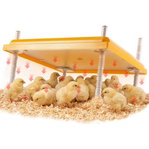 Riakrum Large Chick Brooder Heating Plate 16" x 16" Brooder Heater for 50 Chicks with Adjustable Height Poultry Heating Plate Constant Temperature 131F Safe Heat Lamp for Ducklings and Quail (15.7" x 15.7", Yellow)