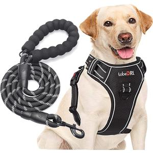 No Pull Dog Harness Adjustable Reflective Oxford Easy Control Small Dog Harness with A Free Heavy Duty 5ft Dog Leash (S (Neck: 13"-18", Chest: 17.5"-22"), Black Harness+Leash)