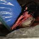 2.2Gal Aquarium Starter Kits, Small Beta Fish Tank Kit with Quiet Filter & Color Light, Nano Desktop Tank for Betta Shrimp Guppy Goldfish, Complete Starter Kit (12.6 * 7 * 5.6 Inch)