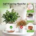 5.8 Inch Self Watering Planters for Indoor Plants with Bottom Watering,2Pack Flower Plant Pots for Outdoor with Drainage, Durable Plastic planters Pots(White)