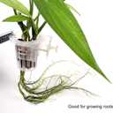 2 x DONGKER Aquarium Plant Holder,2 PCS Hanging Fish Tank Plant Pot for Fish Tank Wall Thickness up to 1.2cm/0.5" (Round Opening)