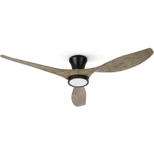 TALOYA 52 inch Ceiling Fans with Lights Remote Control, Modern Low Profile Ceiling Fan with Quiet Reversible DC Motor for Bedroom Living Room and Patio Black Walnut Finish