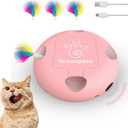 Interactive Cat Toy
