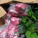 Giegxin 20 Pcs Real to Touch Peonies Austin Roses Artificial Flowers, Faux Look Real Long Stems Fake Flower with Big Blooms for Christmas Valentines Wedding DIY Arrangement Home Decor(Rose Red)