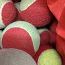 WILSON Youth Tennis Balls - Starter Red, Pack of 36 Balls