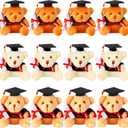 Zomiboo 12 Pieces Graduation Bears Class of 2025 Mini Grad Bear Stuffed Animal 3.54 Inches with Cap Preschool Graduation Gifts Bulk Tiny Detachable Plush Keychain DIY Party Favors(Black Cap)