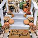 IZUS Hello-Pumpkin Welcome-Doormats - Non-Slip Coir Entrance-Mat Fall-Harvest-Festival Front-Door-Mat Porch-Rugs Home-Decor 17x29inches