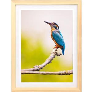 Mxtallup 15x19 Diamond Painting Frames Wood , Photo Frame Natural Solid Wood Color