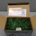 Twinkle Star's 15 ft Pre-lit Christmas Garland,Lighted Artificial Pine Garland with Plug in 35 Count Clear Incandescent Mini Lights, Perfect for Indoor/Outdoor Holiday Decorations, 1 Pack