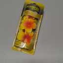 California Scents Scented Necklace, The Perfect Lei for Your Car - Hanging Flower Air Freshener (1 Pack, Tropical Colada)