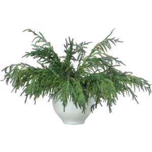 Jutom Christmas Norfolk Pine Branches, Artificial Norfolk Branch Faux Plants Greenery Stem Pine Picks for Christmas Vase DIY Crafts Centerpiece Garland Wreath Home Decor(12 Pcs,30 Inches)