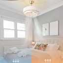 20" Boho Fandelier Ceiling Fan with Light, Caged Gold Fandelier Ceiling Fans with Lights Remote Control with 6 Speeds for Bedroom, Nursery, Living Room