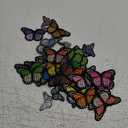 50pcs Butterfly Iron on Patches, 2 Size Embroidered Sew Applique Repair Patch