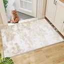 Area Rug Washable Rug 2x3: Entryway Rug Small Modern Abstract Rug Anti-Slip Backing Doormat Stain Resistant Soft Indoor Carpet for Bedroom Kitchen Bathroom Hallway(Beige,2'x3')