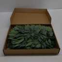 60Pcs Italian Ruscus Greenery Stems Artificial Silk Greenery Leaves for DIY Wedding Arch Bouquet Filler Table Centerpieces Home Indoor Decor (23 inch)