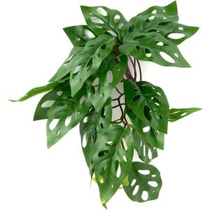 Reptile Plants for Terrarium, Amphibian Habitat Decor Artificial Hanging Plants with Suction Cup - Fake Swiss Cheese Plants Monstera Adansonii Reptile Plants for Terrarium, Amphibian Habitat Decor Artificial Hanging Plants with Suction Cup - Fake Swiss Cheese Plants Monstera Adansonii