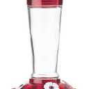 More Birds Healthy Ruby Hummingbird Feeder