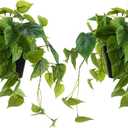2 Pack Artificial Scindapsus Aureus, Realistic Fake Plants with Plastic Pot for Home Office Bedroom Indoor Outdoor Decor(8in H)