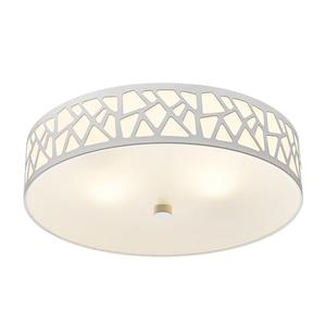 VICNIE 2-Light Flush Mount Ceiling Light, 12 inch Modern Ceiling Light Fixture with White Metal and Frosted Glass Shade for Hallway, Kitchen, Bedroom