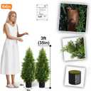 Aveyas 3ft Artificial Cedar Topiary Trees for Outdoor Front Porch Door, 3 Feet Faux Potted Plants Evergreen Fake Pine Cypress Tree for Outside Home Decor (3 ft Tall) - Set of 2 Pack
