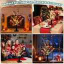 21" Vintage Glowing Table Tree with Cardinals, Christmas Decorations LED String Lights with,Twinkle Trees Lamp with Lighted Branches, for Christmas, Black