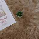 Latepis Brown Beige 2x5 Washable Small Rug Faux Sheepskin Fur Rug Fluffy Shag Rugs for Living Room Bedroom Dorm Furry Plush Rugs Cute Room Decor