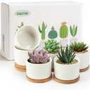 ZOUTOG Succulent Pots 3.1 Inch,6 Pack Succulent Planters, Small Pots for Plants with Drainage and Tray, White Ceramic Flower Planters for Indoor Plants, Home, Office, Desk