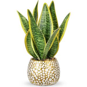 Hollyone Artificial Snake Plant Potted Faux Sansevieria Trifasciata Plants, 13" Tropical Fake Plants in Ceramic Pots for Home Office Room Indoor Decor Housewarming Gifts (Green-13" Style 2)