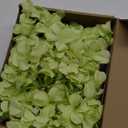 20 Pcs Green Hydrangea Artificial Flowers Bulk, Faux Hydrangea Flowers Heads, Artificial Fake Silk Hydrangea Flowers with Stems, Green Flowers Artificial for Decoration Wedding Dcor Crafts