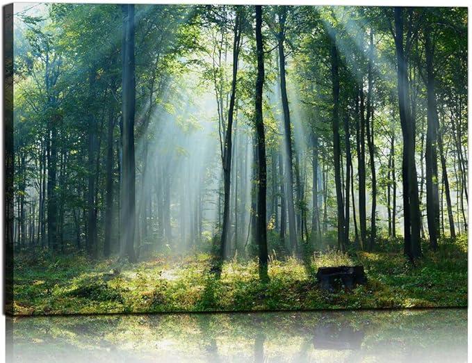 Nature Wall Art Green Forest Canvas Pictures Scenery Wall Art with Sunshine Photo Modern Tree Landscape Art Prints Decor Beautiful Mountain Artwork for Living Room Bedroom Kitchen Home Office Decorations 24x36inch