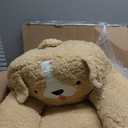 Delta Children Cozee Buddy Chair, Dog