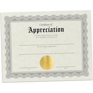 Hill Valley Greetings Certificate of Appreciation - 30 Fill in Award Certificates with Gold Foil Embossed Seals