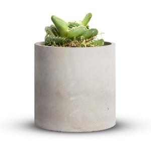 Mozing Cement Plant Pots Indoor - Concrete Planter Pot for Planting - Modern Stone Clay Flower Pot with Drainage Hole for Garden, Home, Office Decor, Grey (5.9 inch)