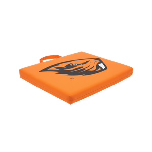 Logo Brands Officially Licensed NCAA Unisex Bleacher Cushion, One Size, Team Color (14" x 14" x 1")