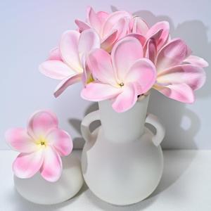 10pcs Light White Pink Flowers PU Real Touch Flowers Hawaiian Plumeria Tropical Artificial Flowers for DIY Floral Gifts Wedding Home Office Table Decor Farmhouse Table Centerpiece Decorations