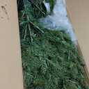 National Tree Company 6.5 ft Pre-Lit Dunhill Fir Artificial Christmas Tree, 600 LED Lights, 1,838 Tips, PowerConnect, Foot Pedal, 10 Light Functions, Includes Stand, Green