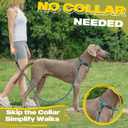 Fida Durable Slip Lead Dog Leash, 6 FT x 1/2" Heavy Duty Loop Comfortable Strong Rope Lead for Large, Medium Dogs, No Pull Pet Training with Highly Reflective, Blue