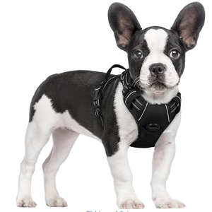rabbitgoo Dog Harness No Pull with 2 Leash Clips, Adjustable Soft Padded, Reflective Oxford No Choke Pet Vest with Easy Control Handle for Medium Sized Dogs, Black, M